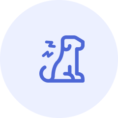 Flea, Tick, & Heartworm Prevention