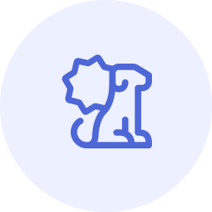 Pain / Anti-Inflammatory