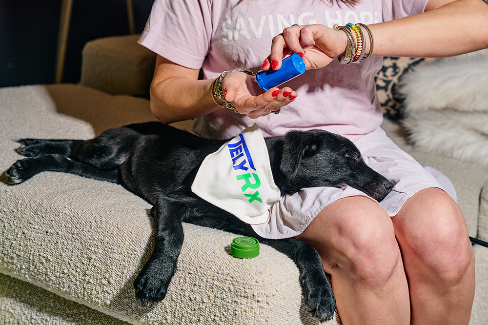 A black puppy laying on a woman's lap with a TelyRx bandana around it's neck.