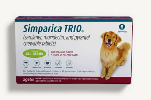 What Is Simparica Trio?