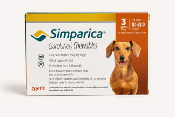 What Are Simparica Chewable Tablets?