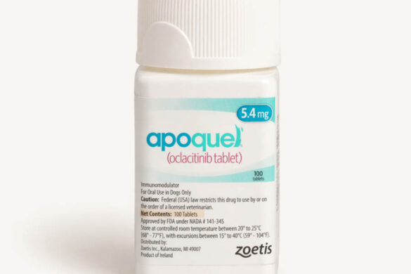 What Is Apoquel?