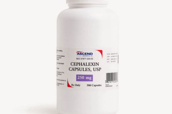 What Are Cephalexin Capsules for Dogs?