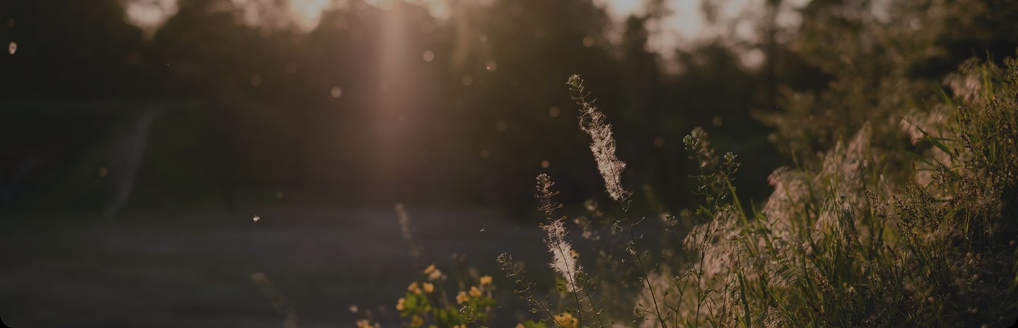 Chronic Conditions Chronic Conditions