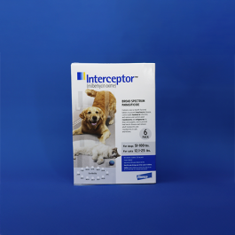 Interceptor (Cat)
