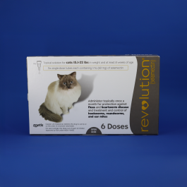 Revolution Topical Solution (Cat)