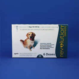 Revolution Topical Solution (Dog)
