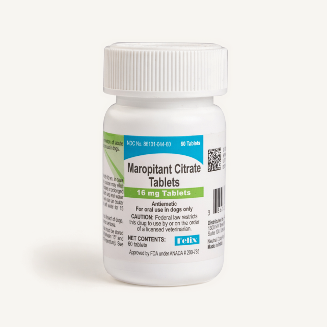 Maropitant Tablets