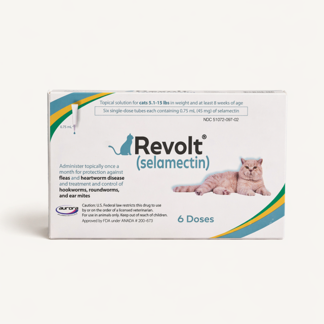 Revolt
