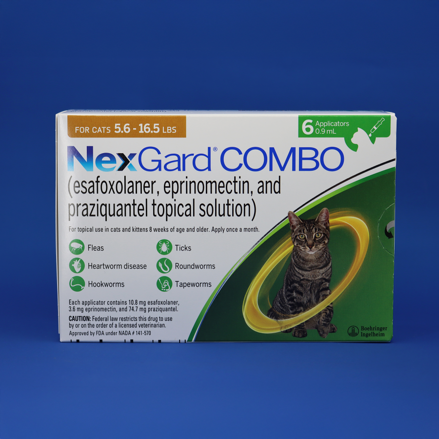 main product photo main product photo