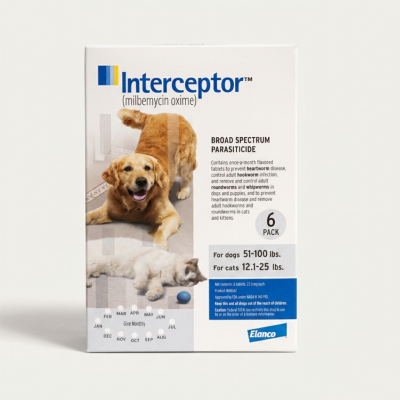 Interceptor (Cat)