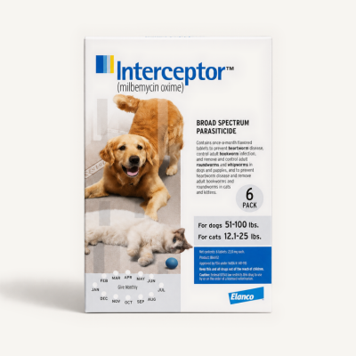 Interceptor (Dog)