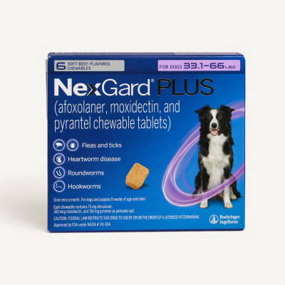 NexGard Plus Chewable Tablets