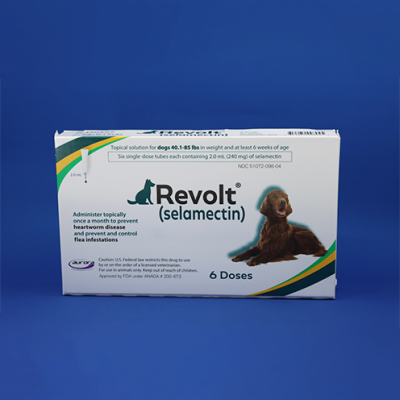 Revolt