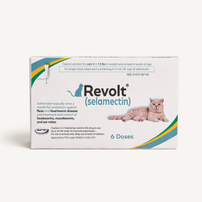 Revolt