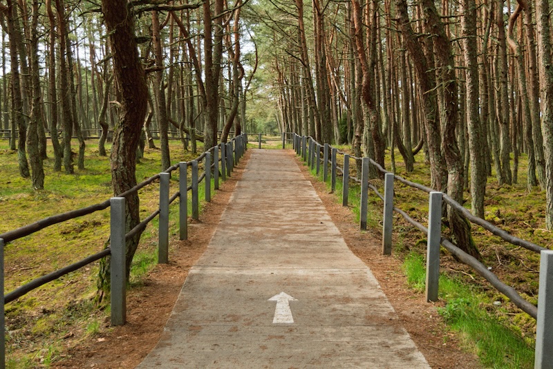 Allergies management